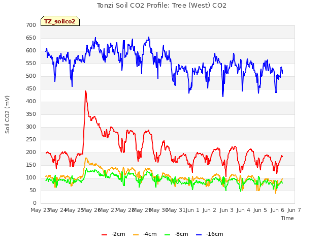 plot of Tonzi Soil CO2 Profile: Tree (West) CO2