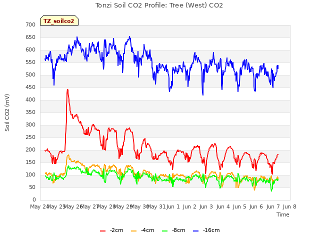 plot of Tonzi Soil CO2 Profile: Tree (West) CO2