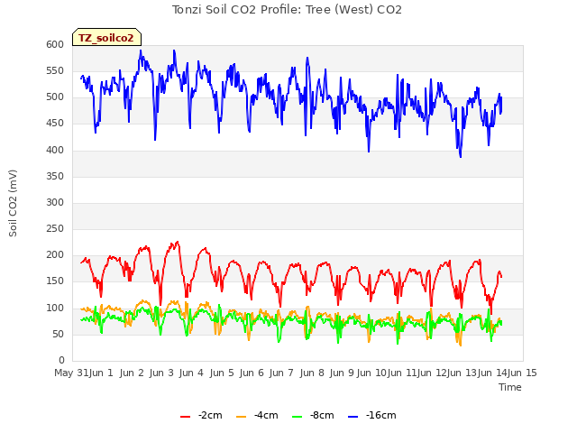 plot of Tonzi Soil CO2 Profile: Tree (West) CO2