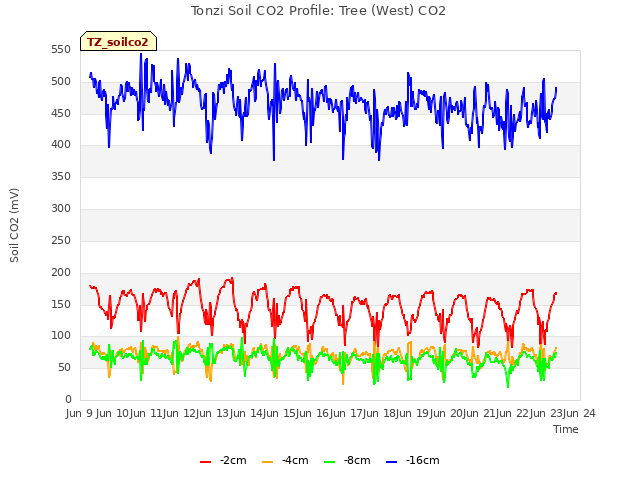 plot of Tonzi Soil CO2 Profile: Tree (West) CO2