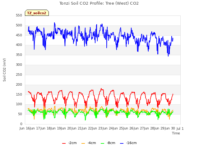 plot of Tonzi Soil CO2 Profile: Tree (West) CO2