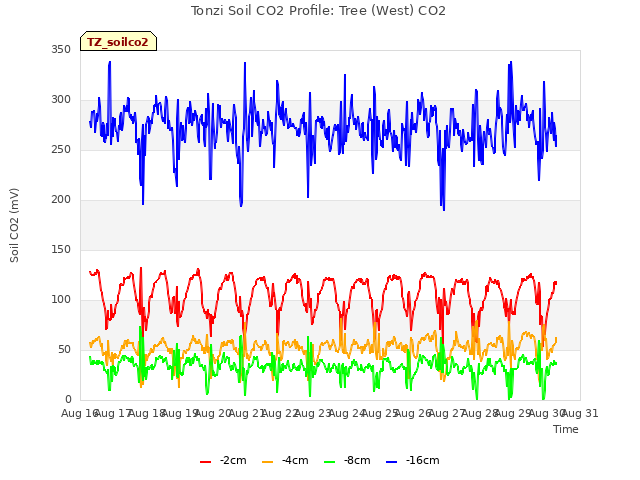 plot of Tonzi Soil CO2 Profile: Tree (West) CO2