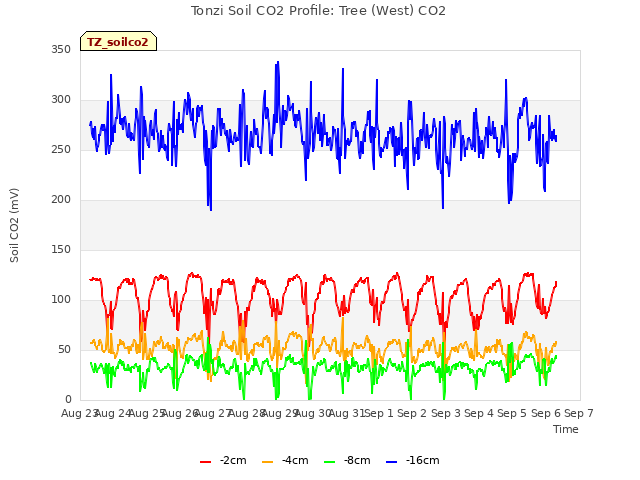 plot of Tonzi Soil CO2 Profile: Tree (West) CO2