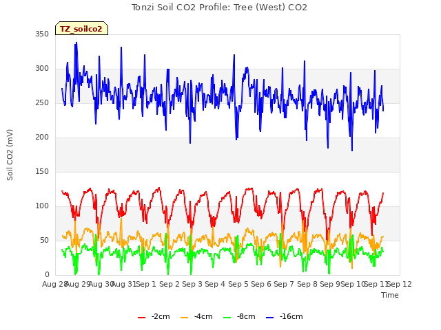 plot of Tonzi Soil CO2 Profile: Tree (West) CO2