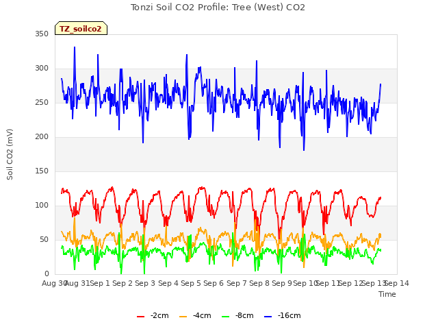 plot of Tonzi Soil CO2 Profile: Tree (West) CO2