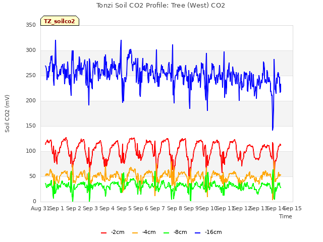 plot of Tonzi Soil CO2 Profile: Tree (West) CO2