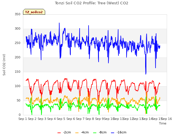 plot of Tonzi Soil CO2 Profile: Tree (West) CO2