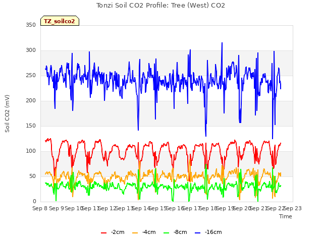 plot of Tonzi Soil CO2 Profile: Tree (West) CO2