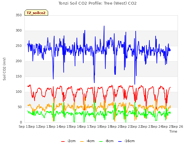 plot of Tonzi Soil CO2 Profile: Tree (West) CO2