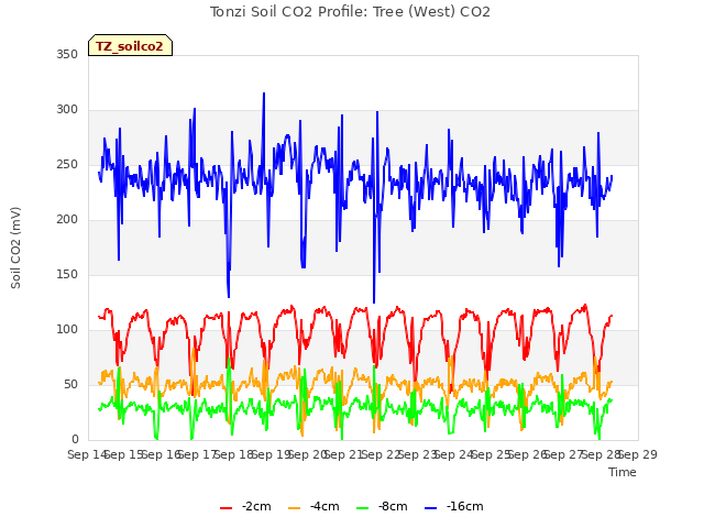 plot of Tonzi Soil CO2 Profile: Tree (West) CO2