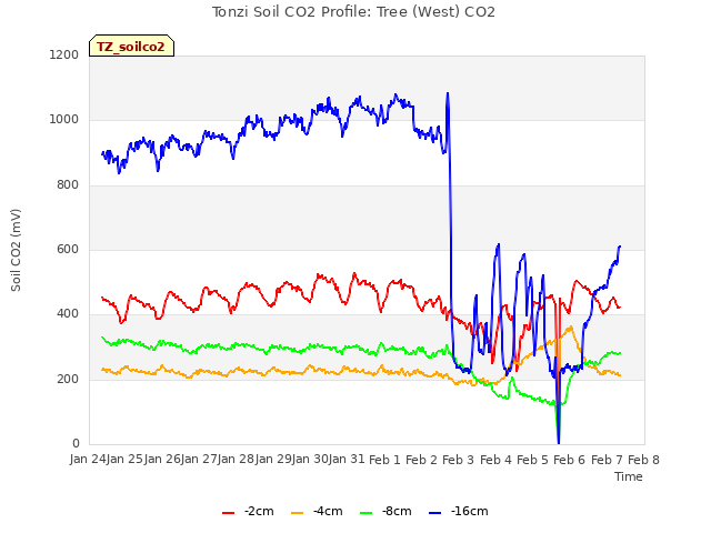 plot of Tonzi Soil CO2 Profile: Tree (West) CO2