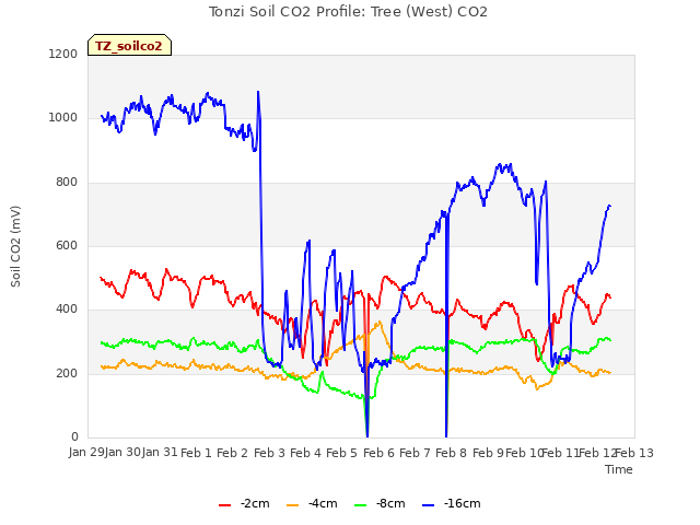 plot of Tonzi Soil CO2 Profile: Tree (West) CO2