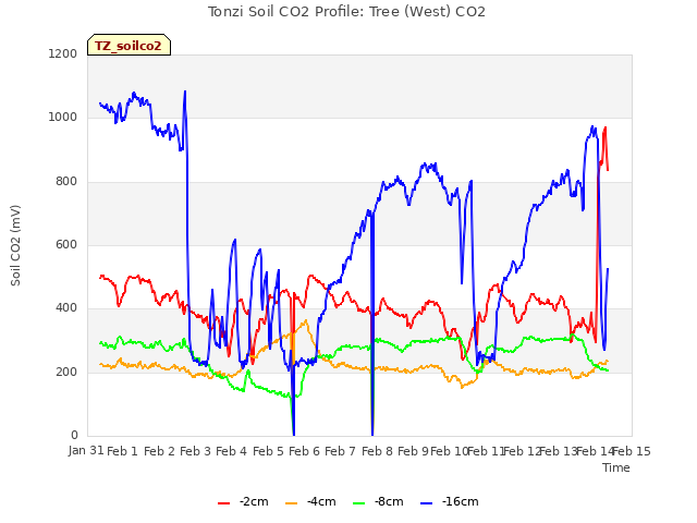 plot of Tonzi Soil CO2 Profile: Tree (West) CO2