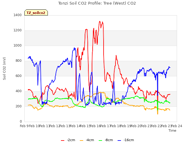 plot of Tonzi Soil CO2 Profile: Tree (West) CO2