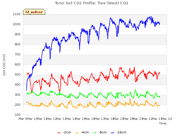 plot of Tonzi Soil CO2 Profile: Tree (West) CO2