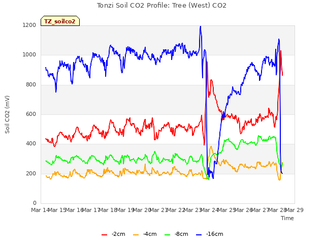 plot of Tonzi Soil CO2 Profile: Tree (West) CO2