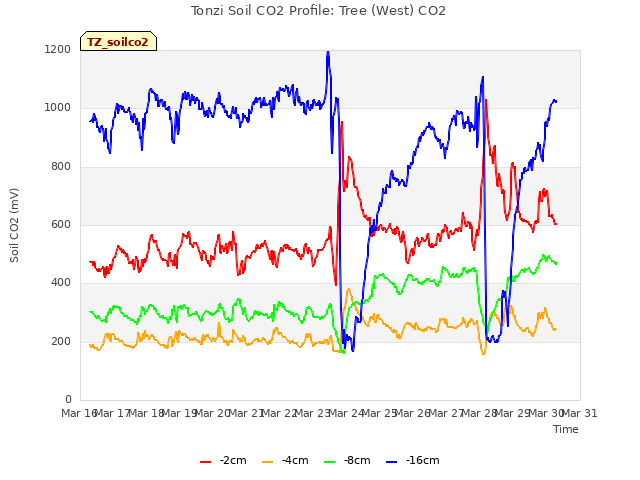 plot of Tonzi Soil CO2 Profile: Tree (West) CO2