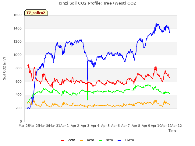 plot of Tonzi Soil CO2 Profile: Tree (West) CO2