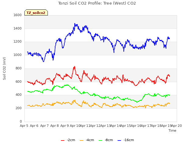 plot of Tonzi Soil CO2 Profile: Tree (West) CO2