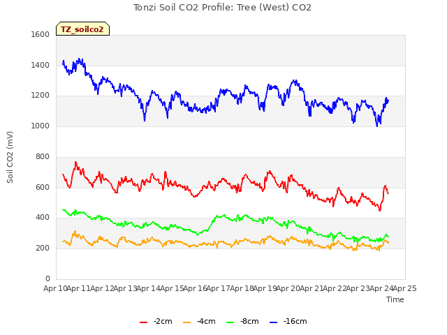 plot of Tonzi Soil CO2 Profile: Tree (West) CO2