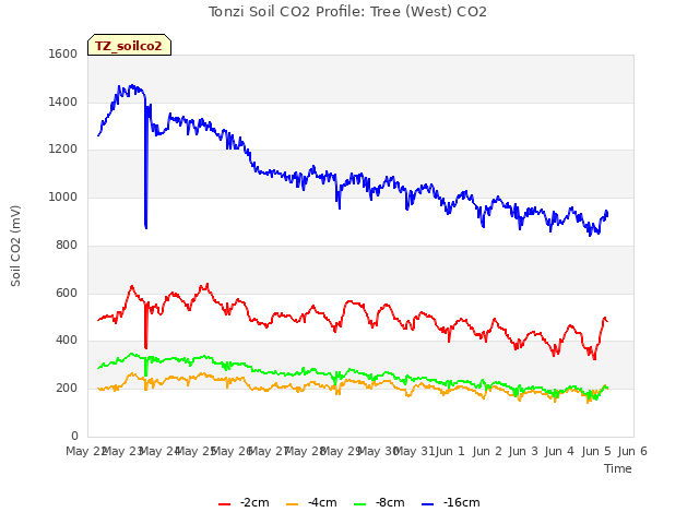 plot of Tonzi Soil CO2 Profile: Tree (West) CO2