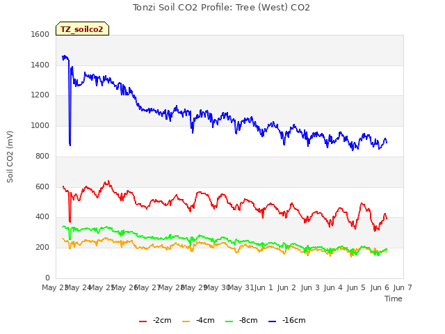 plot of Tonzi Soil CO2 Profile: Tree (West) CO2