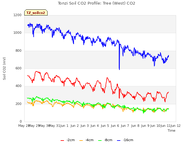 plot of Tonzi Soil CO2 Profile: Tree (West) CO2