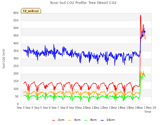 plot of Tonzi Soil CO2 Profile: Tree (West) CO2