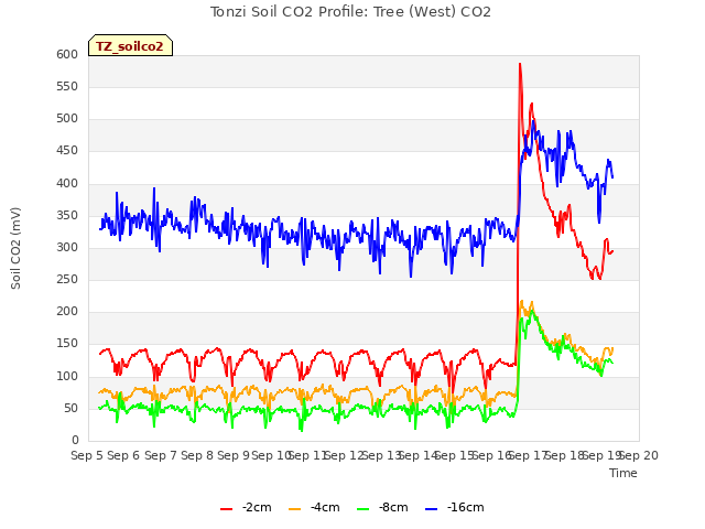 plot of Tonzi Soil CO2 Profile: Tree (West) CO2