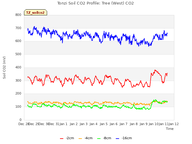 plot of Tonzi Soil CO2 Profile: Tree (West) CO2