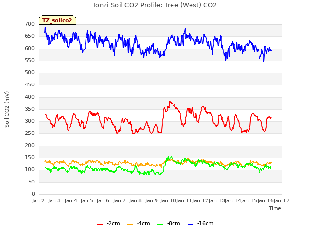 plot of Tonzi Soil CO2 Profile: Tree (West) CO2