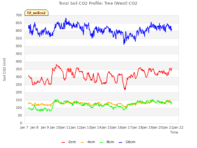 plot of Tonzi Soil CO2 Profile: Tree (West) CO2