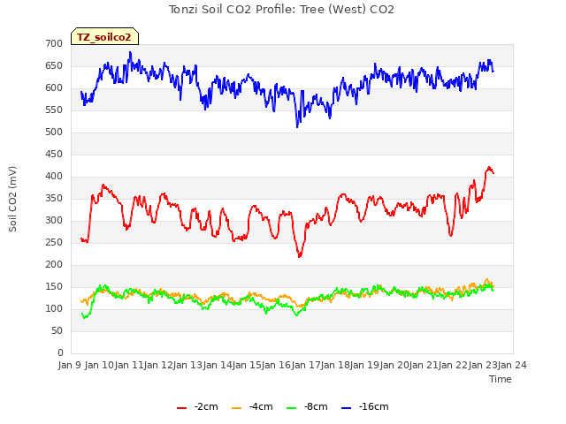 plot of Tonzi Soil CO2 Profile: Tree (West) CO2