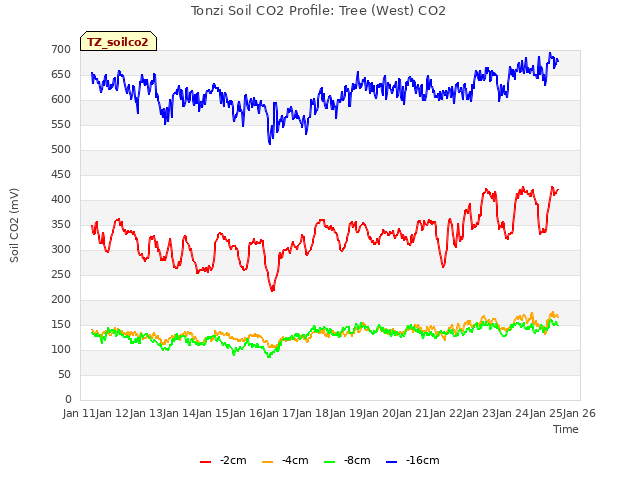 plot of Tonzi Soil CO2 Profile: Tree (West) CO2