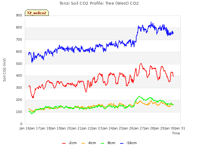 plot of Tonzi Soil CO2 Profile: Tree (West) CO2