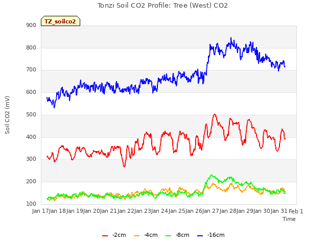 plot of Tonzi Soil CO2 Profile: Tree (West) CO2