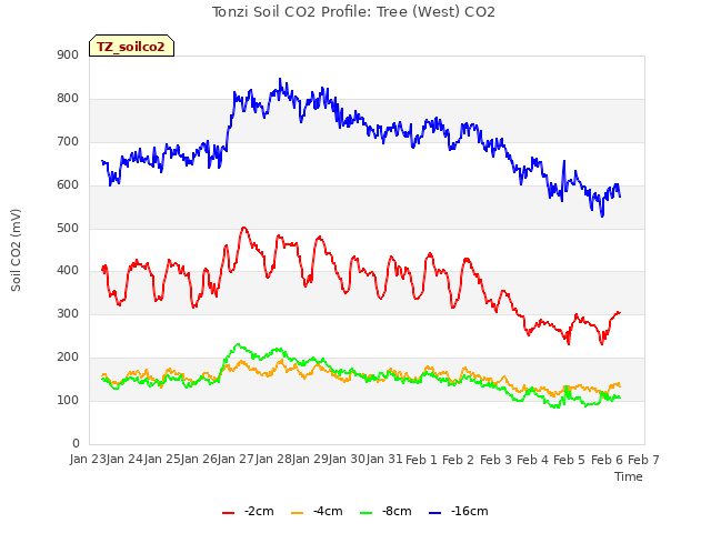 plot of Tonzi Soil CO2 Profile: Tree (West) CO2