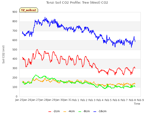 plot of Tonzi Soil CO2 Profile: Tree (West) CO2