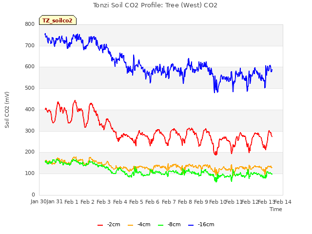 plot of Tonzi Soil CO2 Profile: Tree (West) CO2