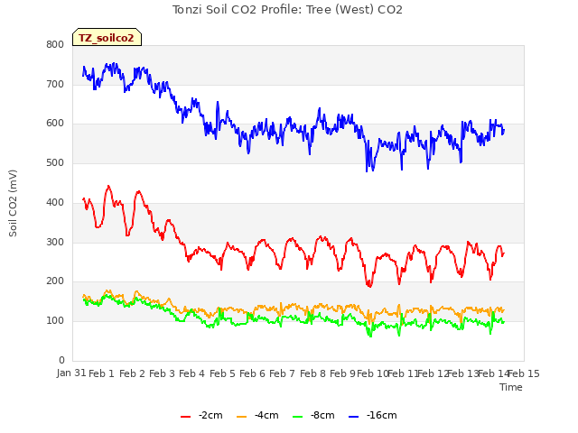 plot of Tonzi Soil CO2 Profile: Tree (West) CO2