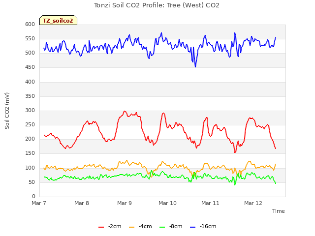 plot of Tonzi Soil CO2 Profile: Tree (West) CO2