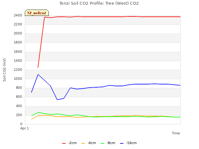 plot of Tonzi Soil CO2 Profile: Tree (West) CO2