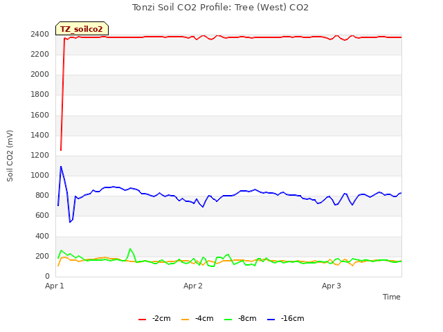 plot of Tonzi Soil CO2 Profile: Tree (West) CO2