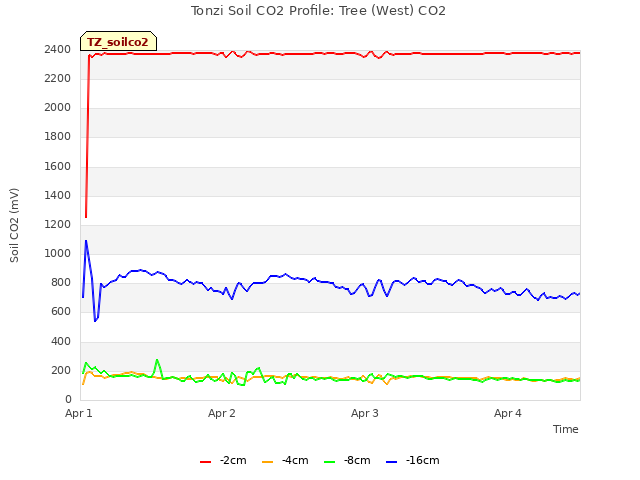 plot of Tonzi Soil CO2 Profile: Tree (West) CO2