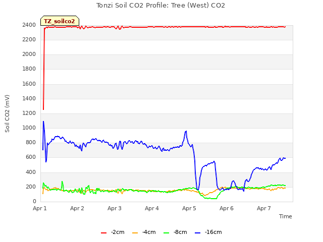 plot of Tonzi Soil CO2 Profile: Tree (West) CO2