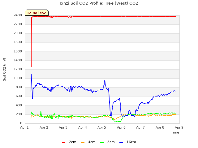 plot of Tonzi Soil CO2 Profile: Tree (West) CO2