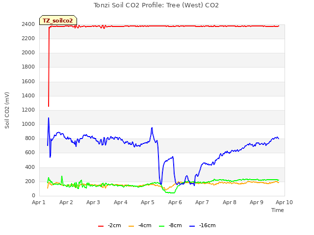 plot of Tonzi Soil CO2 Profile: Tree (West) CO2