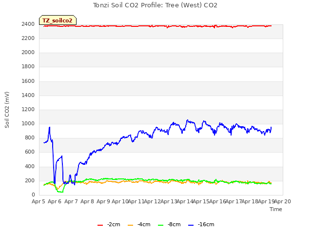 plot of Tonzi Soil CO2 Profile: Tree (West) CO2