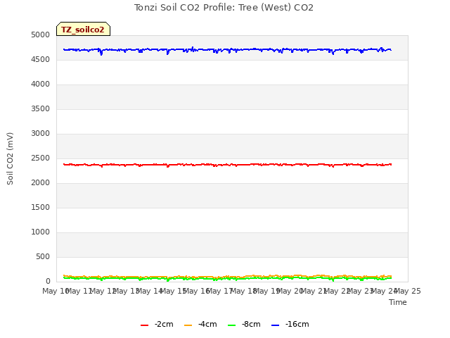 plot of Tonzi Soil CO2 Profile: Tree (West) CO2