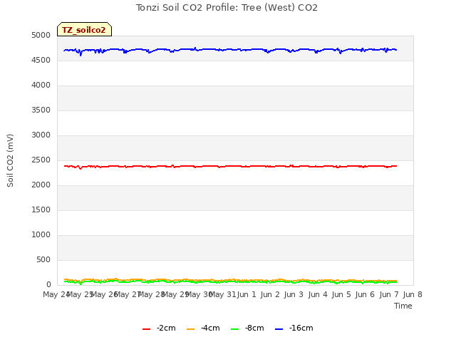 plot of Tonzi Soil CO2 Profile: Tree (West) CO2